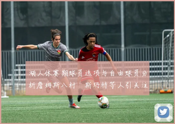 湖人休赛期球员选项与自由球员分析詹姆斯八村塁斯玛特等人引关注