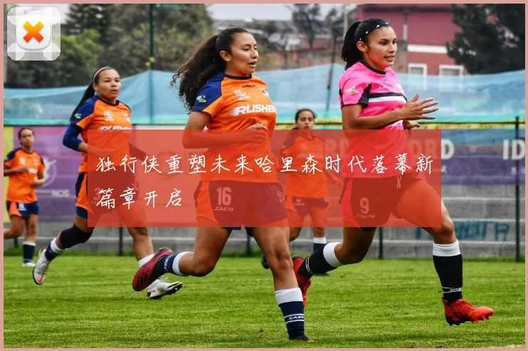 独行侠重塑未来哈里森时代落幕新篇章开启